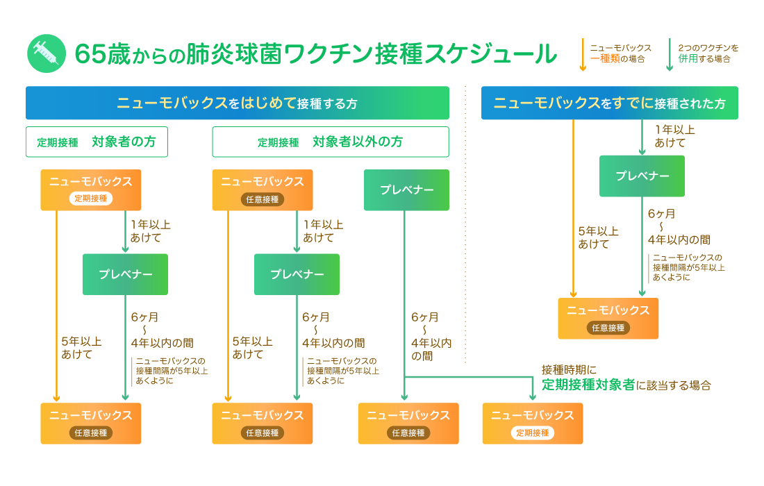 肺炎球菌ワクチン接種スケジュール